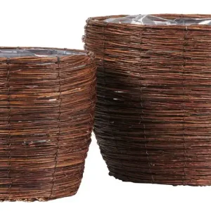 Krukset Willow Endast idag